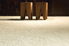 Peluche alpaca-fleece carpet