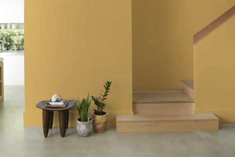 Wattyl’s Ranch Dust is a rich ochre hue and is one of the additions to the company’s ultra-low VOC interior paint range, I.D Advanced.