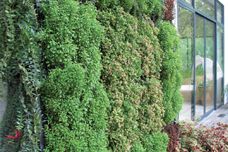 Elmich green roofs and green walls