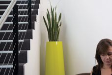 Blush indoor planter